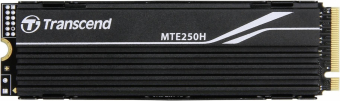 Cietais disks Transcend MTE250H 1TB