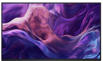 Monitors Dell P2425H 24" 1920 x 1080 IPS