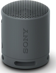 Loudspeaker Sony SRS-XB100 Black