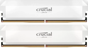 Operative Memory Crucial 64GB CP2K32G60C40U5W