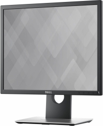 Dell P1917S