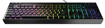 Klaviatūra Genesis Rhod 530 RGB ENG