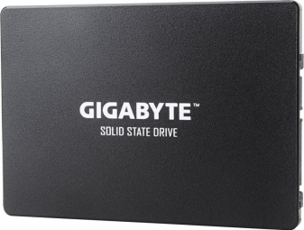 Gigabyte GP-GSTFS 256GB