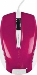E-Blue Color Pal Series Premium Purple