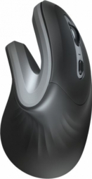 Datorpele Trust Verro Ergonomic Black