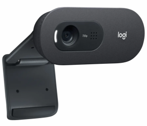Logitech C505 HD