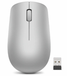 Lenovo 530 Platinum Grey