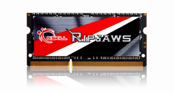 G.skill Ripjaws 8GB 1600 MHz