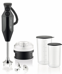 ESGE M 200 BBQ Immersion