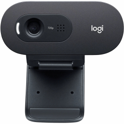 Logitech C505e HD