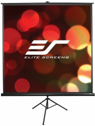 Elite Screens T119UWS1