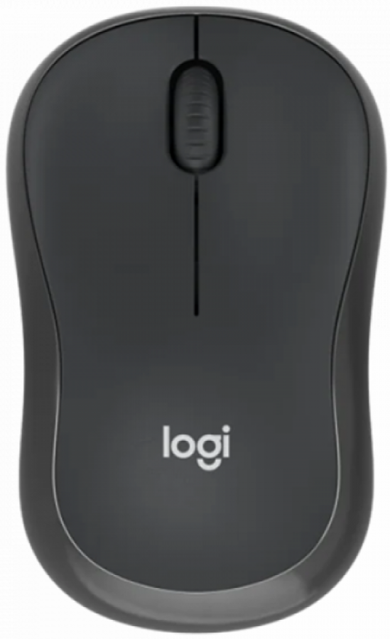 Computer mouse Logitech M240 Silent Graphite (910-007119)
