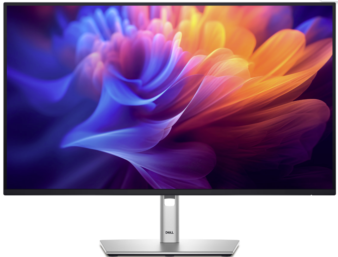 Monitors Dell P2725H 27" 1920 x 1080 (210-BMGC)