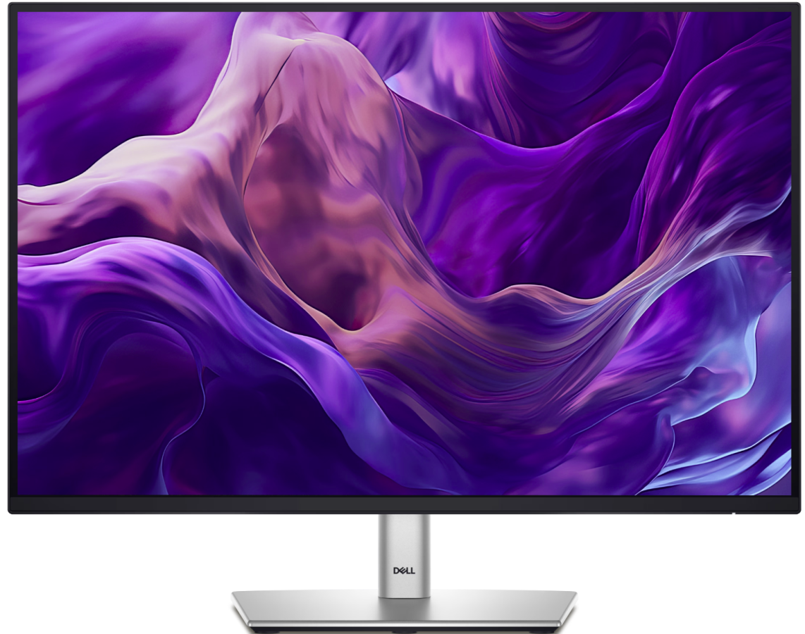 Monitors Dell P2425H 24" 1920 x 1080 (210-BMFF)