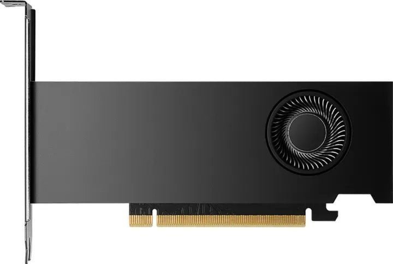 Video card PNY Quadro RTX 2000 Ada Generation 16GB (VCNRTX2000ADA-SB)