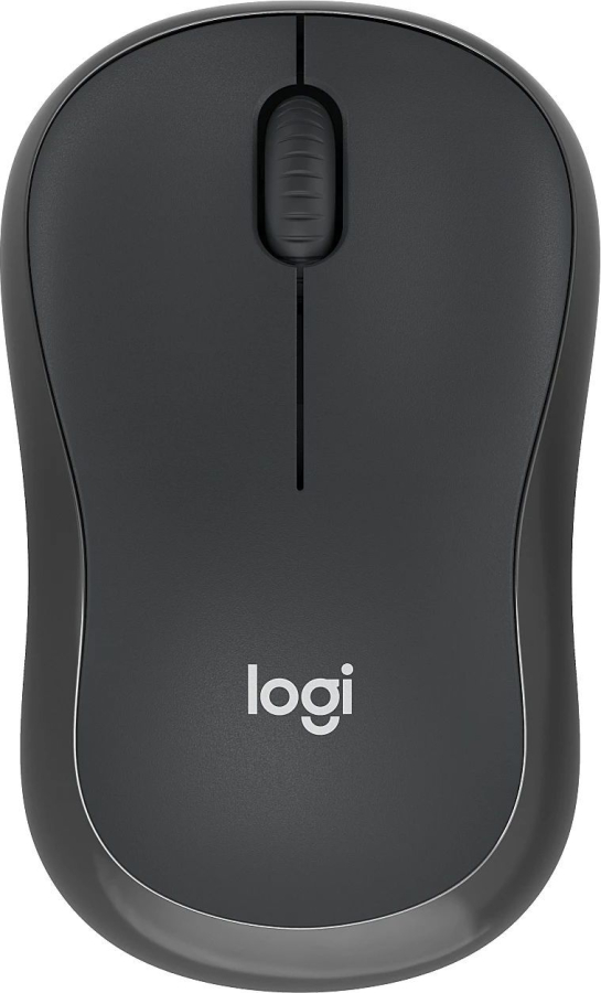 Computer mouse Logitech M240 for Business Black (910-007182)