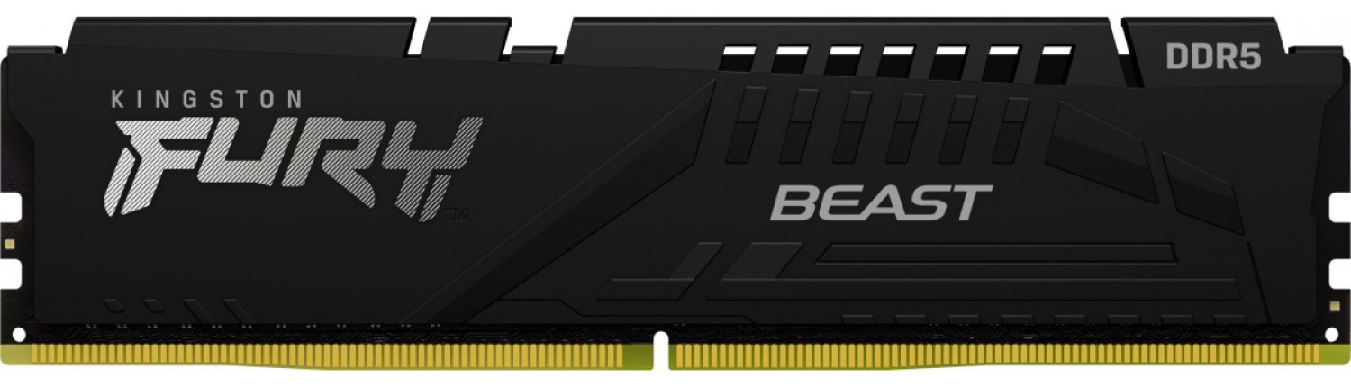 RAM Kingston Beast 16GB Black (KF560C36BBE2-16)