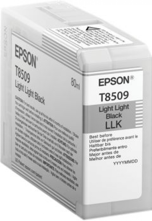 Ink Cartridge Epson T85090 Light Light Black (C13T850900)