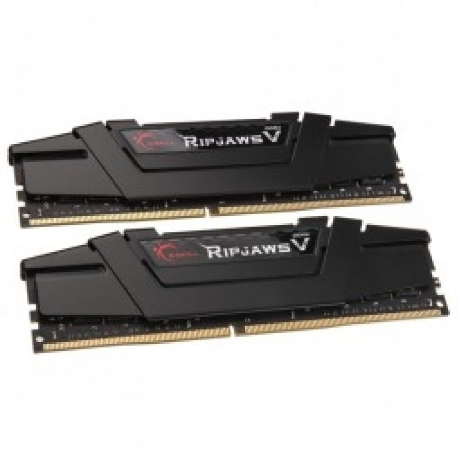 G.Skill 16GB F4-3200C16D-16GVKB (F4-3200C16D-16GVKB)