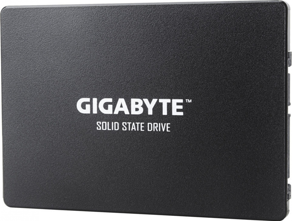 Gigabyte GP-GSTFS 256GB (GP-GSTFS31256GTND)