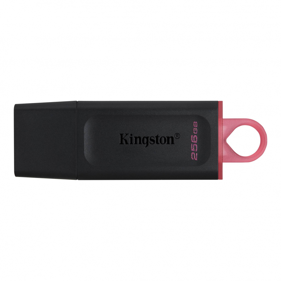 Kingston DataTraveler Exodia 256GB (DTX/256GB)
