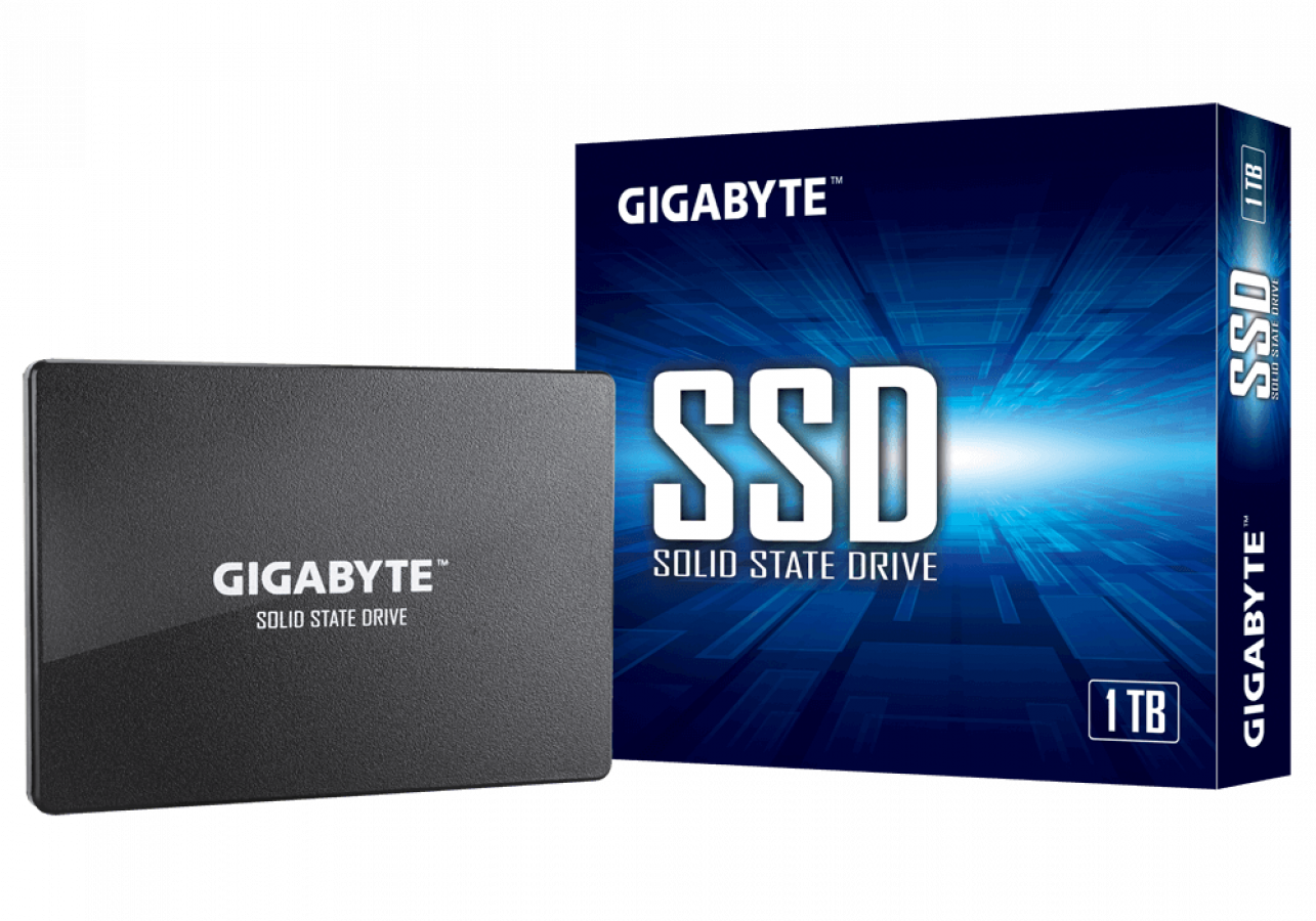 Gigabyte SSD 1TB (GP-GSTFS31100TNTD)