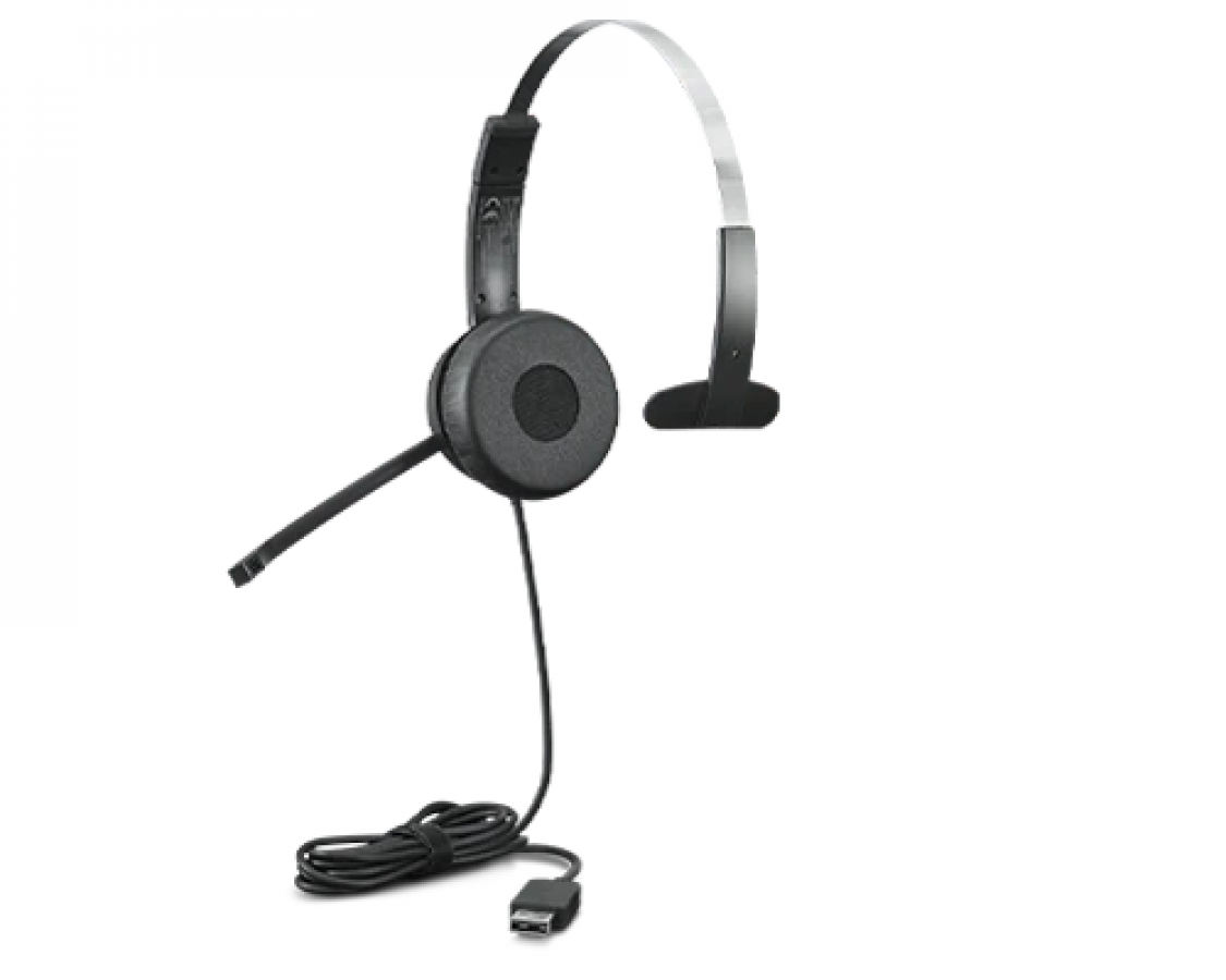 Lenovo 100 Mono USB 4XD1B61617 Black (4XD1B61617)