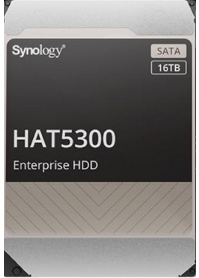 Synology HAT5300-16T 16 TB (HAT5300-16T)
