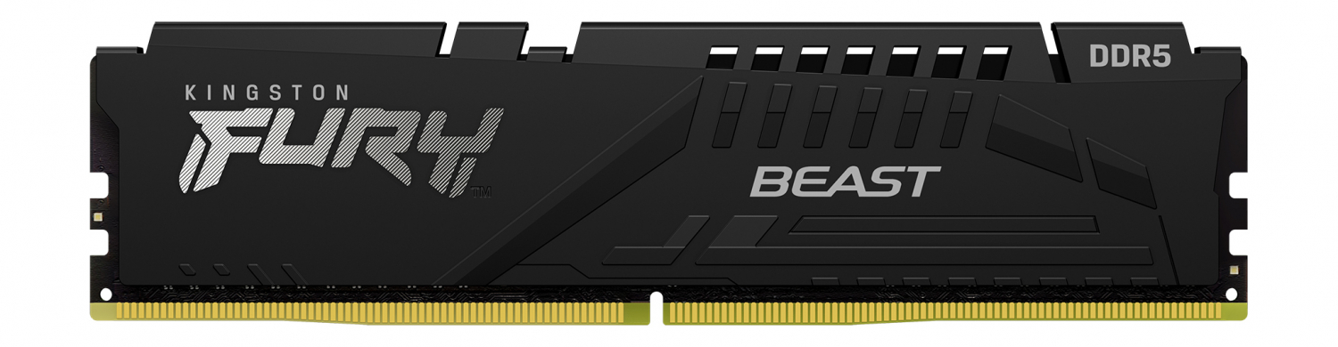 Kingston Fury Beast 8GB Black (KF556C40BB-8)
