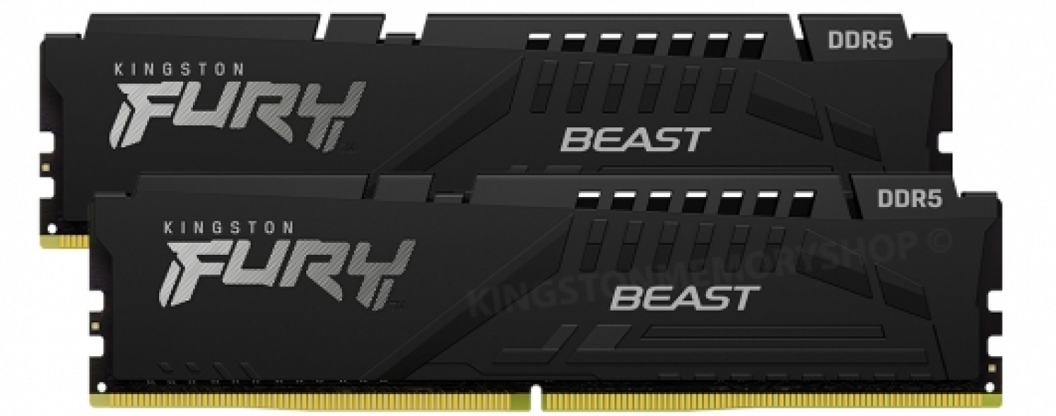 Kingston Fury Beast 2 x 32 GB Black (KF552C40BBK2-64)