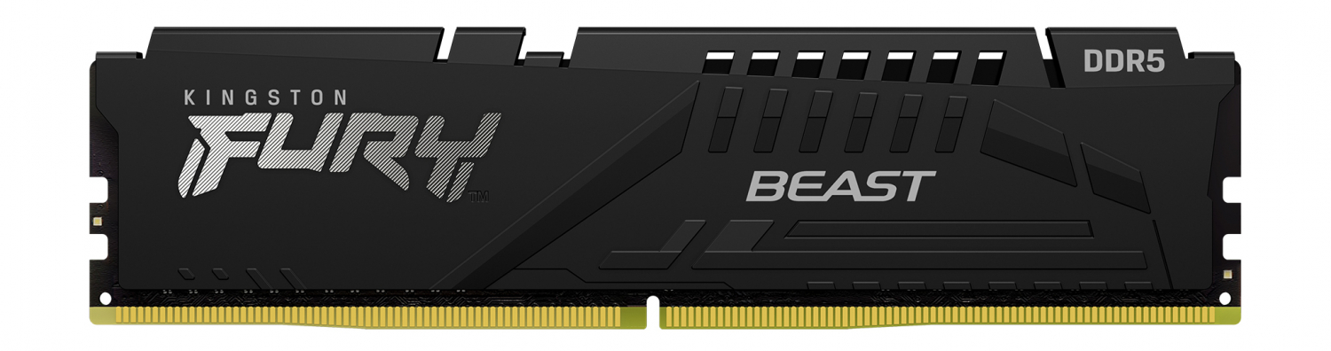 Kingston Fury Beast 8GB Black (KF552C40BB-8)