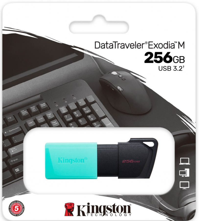 Kingston DataTraveler Exodia M 256GB (DTXM/256GB)