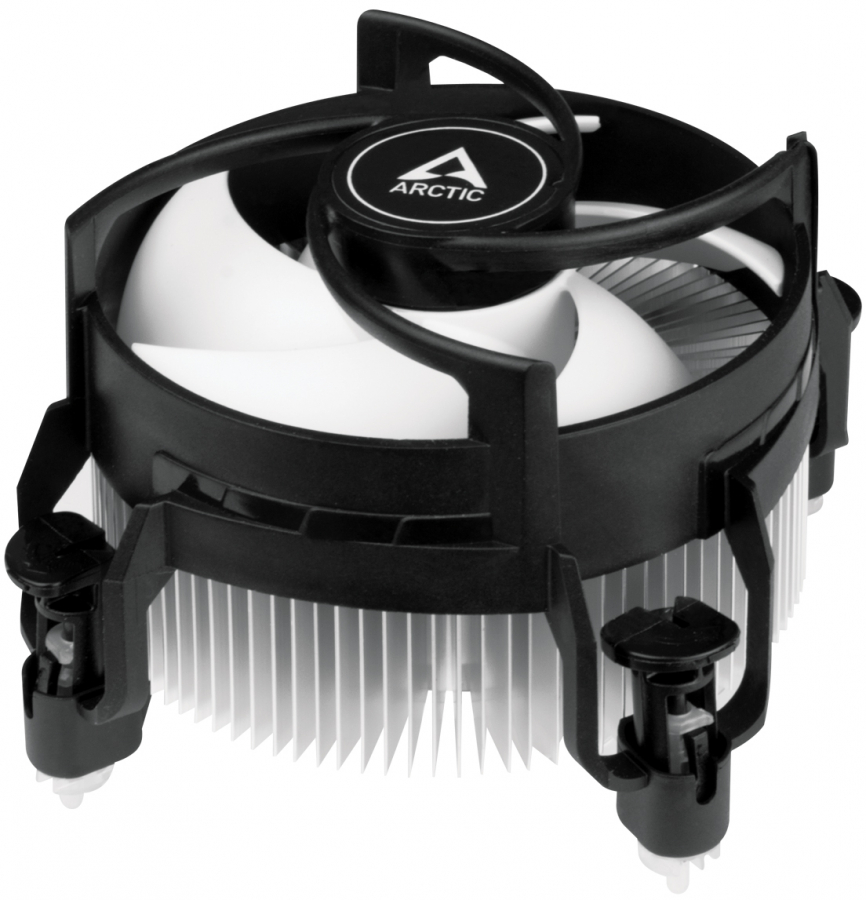 Arctic Alpine 17 (ACALP00040A)