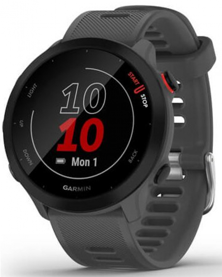 Garmin Forerunner 55 Monterra Grey (010-02562-13)