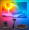 LED lente Govee H605C T2 RGBIC Wi-Fi / Bluetooth (H605C311)