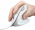 Datorpele Trust Verto Ergonomic White (25133)