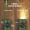 Lukturis Olight Arkfeld with Green Laser & White Light Orange (ARKFELD UV ORANGE NW)