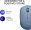 Computer mouse Logitech M171 Blue Grey (910-006866)