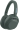 Austiņas Sony ULT WEAR Forest Grey (WHULT900NH.CE7)
