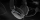 Headphones Genesis Toron 301 Black (NSG-2160)