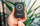 Energy storage Verbatim Wireless 5 000mAh Black (32240V)