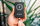 Energy storage Verbatim Wireless 10 000mAh Black (32245V)