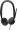 Austiņas Dell WH3024 Black (520-BBDH)