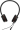 Austiņas Jabra Evolve 20 Duo MS (4999-823-109)