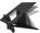 Statīvs datoram Fellowes Laptop Stand Breyta Black (100016558)
