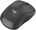 Computer mouse Logitech M240 for Business Black (910-007182)
