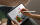 Stylus Baseus Smooth Writing 2 Active (P80015806211-03)