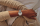 Viedpulkstenis Withings Scanwatch 2 38mm Rose Gold (WITHWA103ALLINTPA)