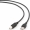 Kabelis Gembird USB Male - USB Male B 1.8m Black (CCP-USB2-AMBM-6)