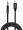 Kabelis SAVIO USB-C – MiniJack 3.5 mm 2m (CL-188)